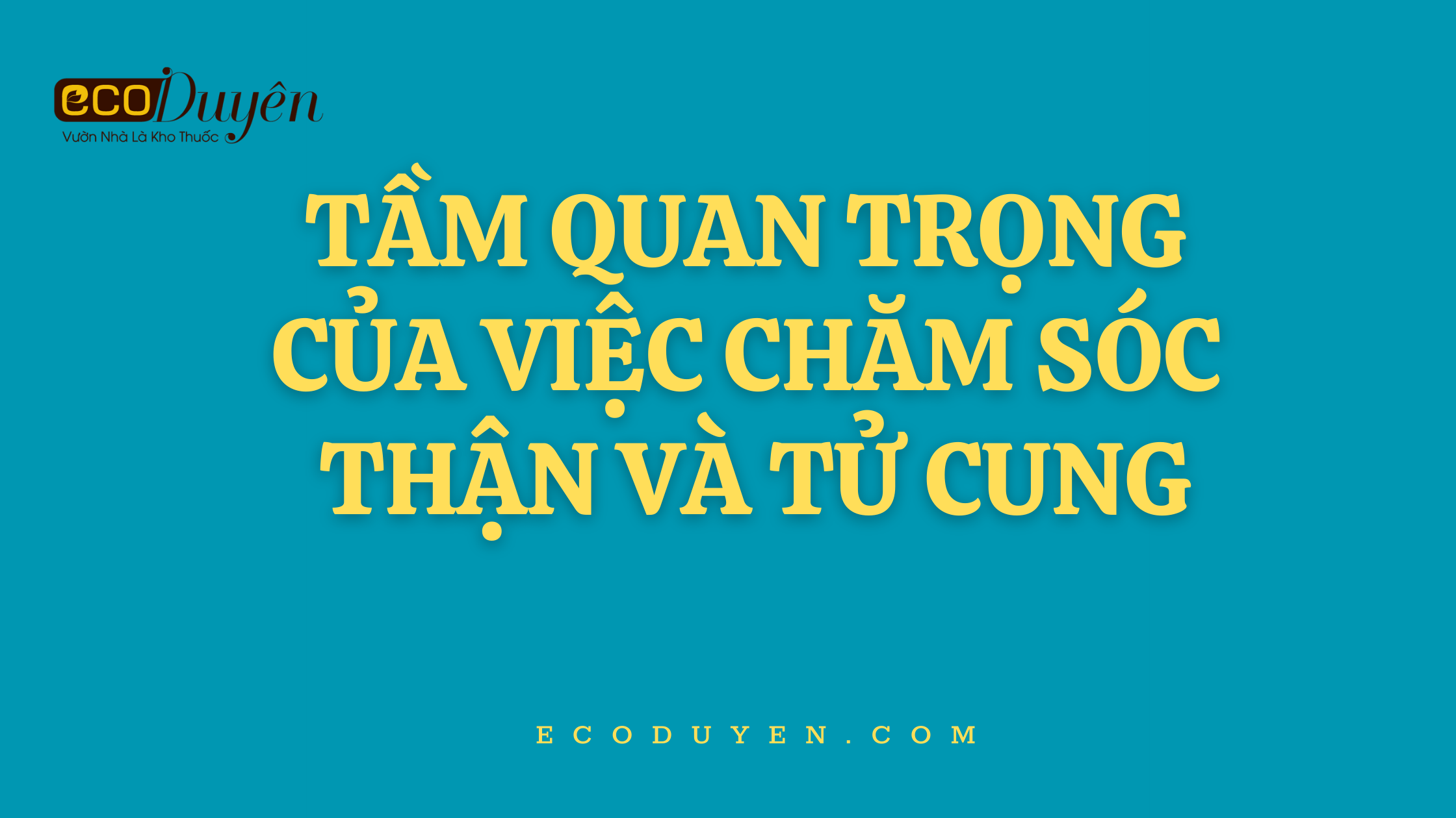 TẦM QUAN TRỌNG CỦA VIỆC CHĂM SÓC THẬN VÀ TỬ CUNG