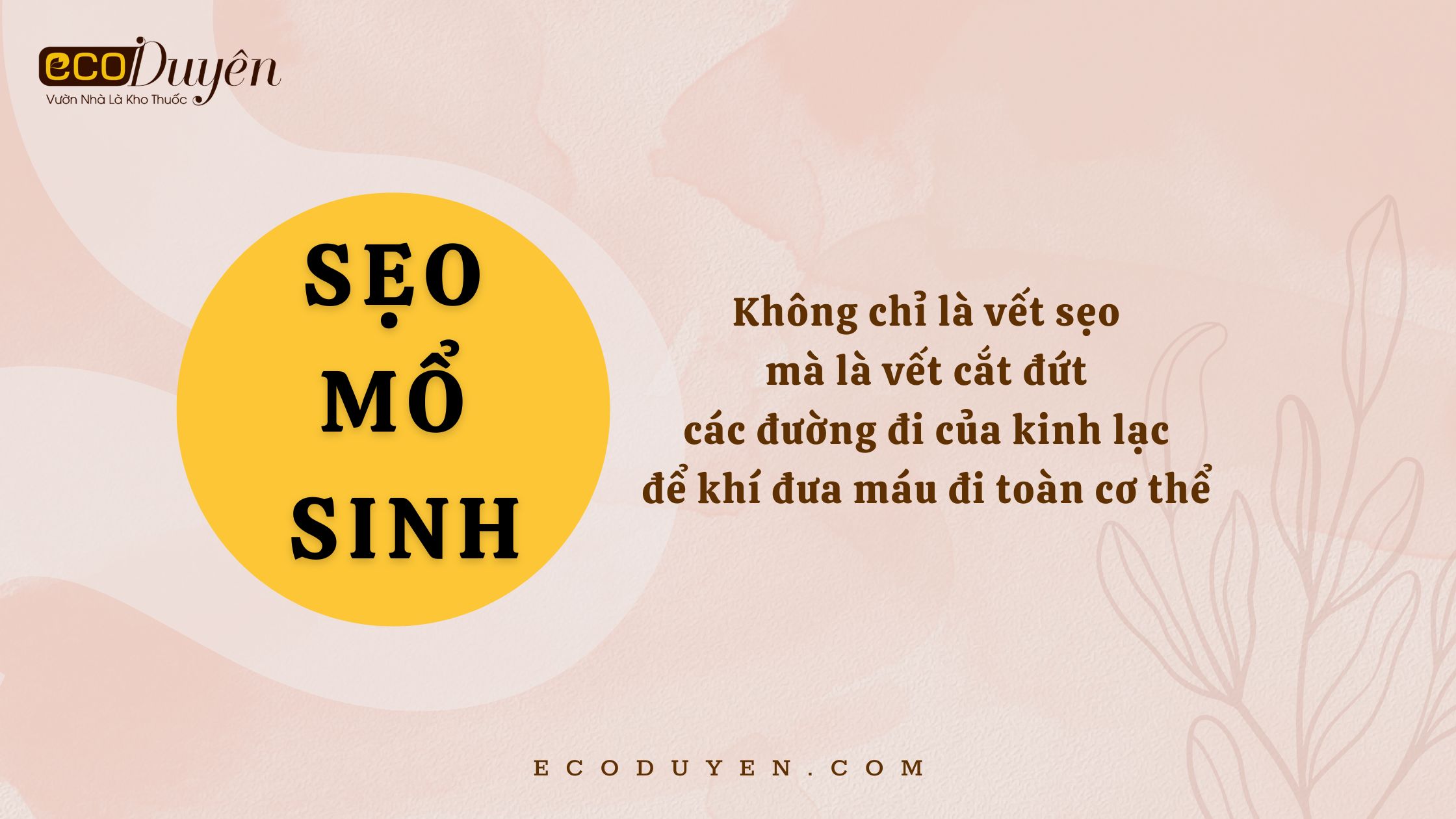 Sẹo mổ sinh - không chỉ là vết sẹo mà là vết cắt đứt các đường đi của kinh lạc để khí đưa máu đi toàn cơ thể