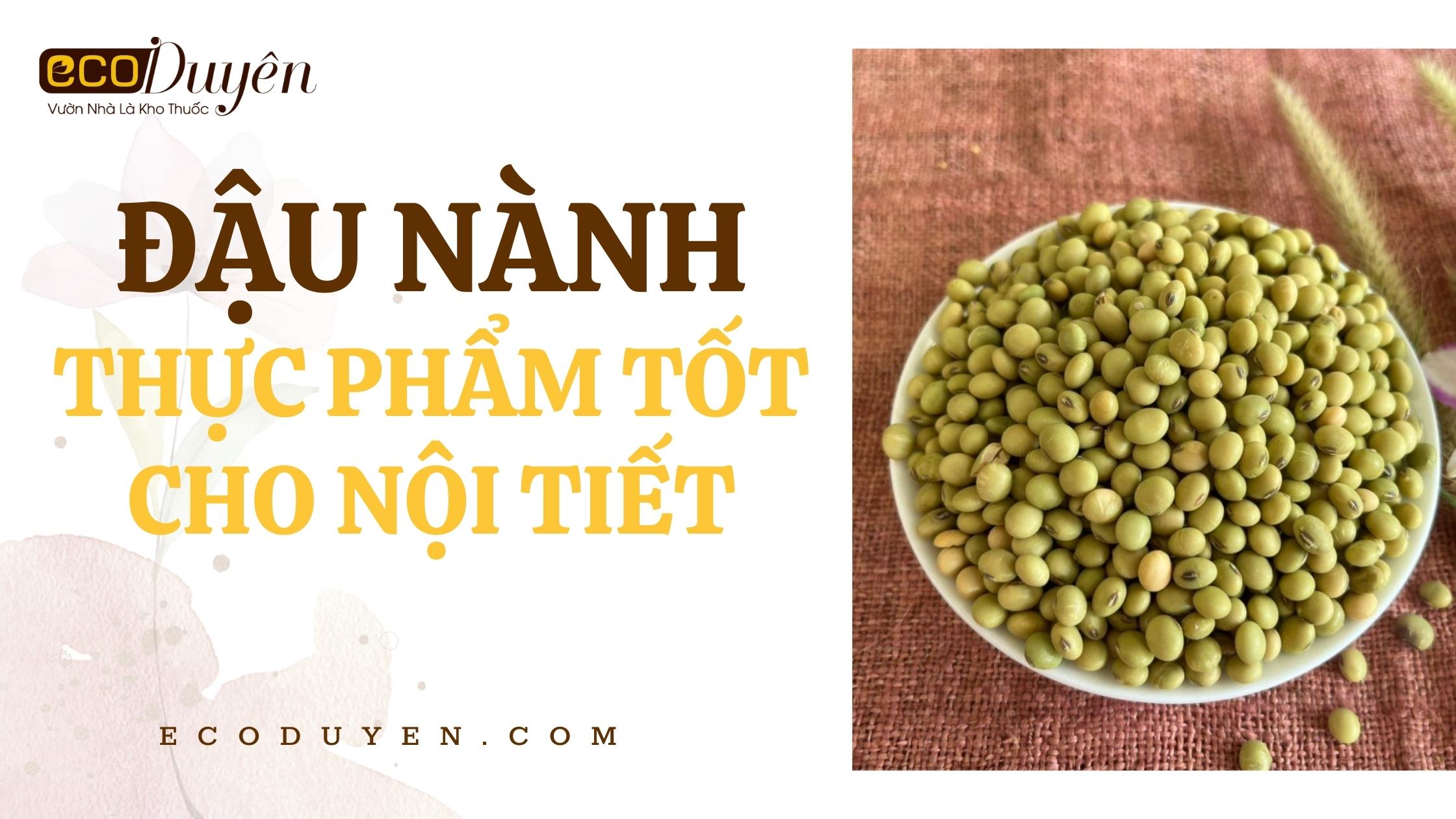 ĐẬU NÀNH - THỰC PHẨM TỐT CHO NỘI TIẾT