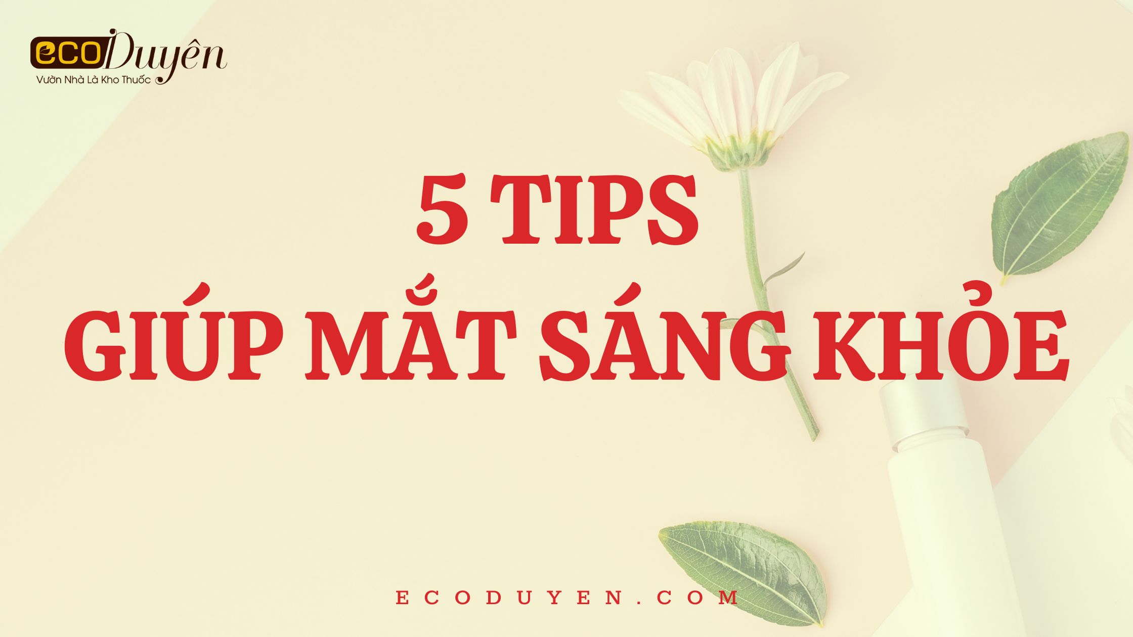 5 TIPS GIÚP MẮT SÁNG KHỎE