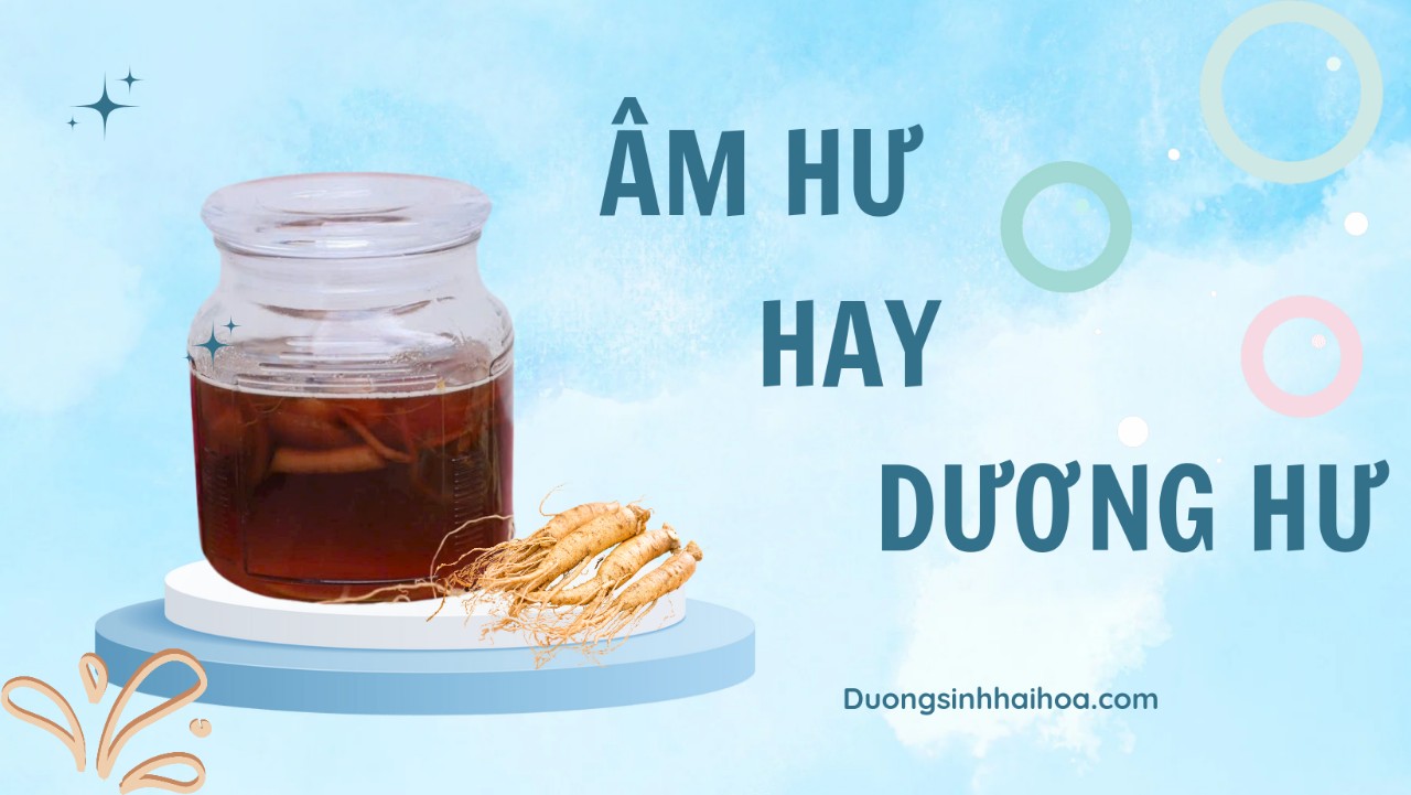 ÂM HƯ HAY DƯƠNG HƯ
