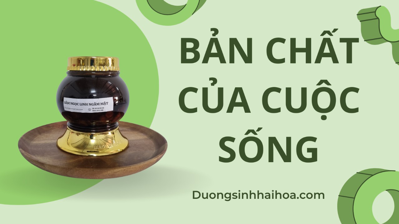 BẢN CHẤT CỦA CUỘC SỐNG