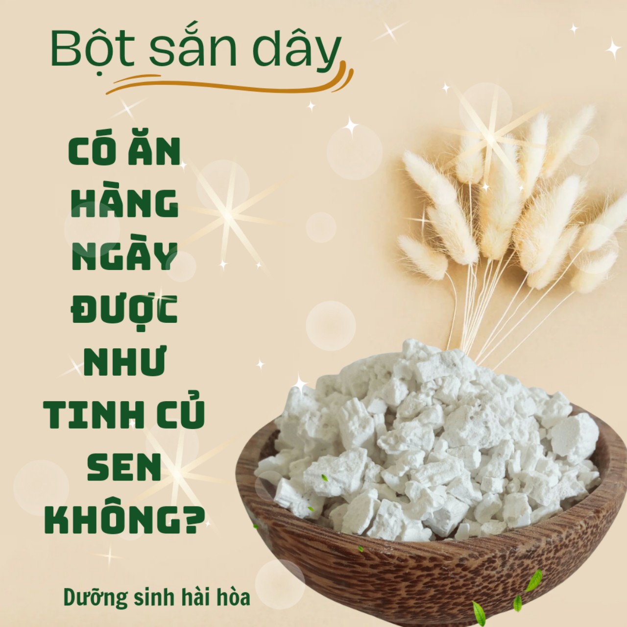 BỘT SẮN DÂY CÓ ĂN HÀNG NGÀY ĐƯỢC NHƯ TINH CỦ SEN KHÔNG ?
