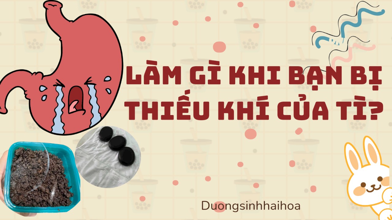 LÀM GÌ KHI CÁC BẠN BỊ THIẾU KHÍ CỦA TÌ?