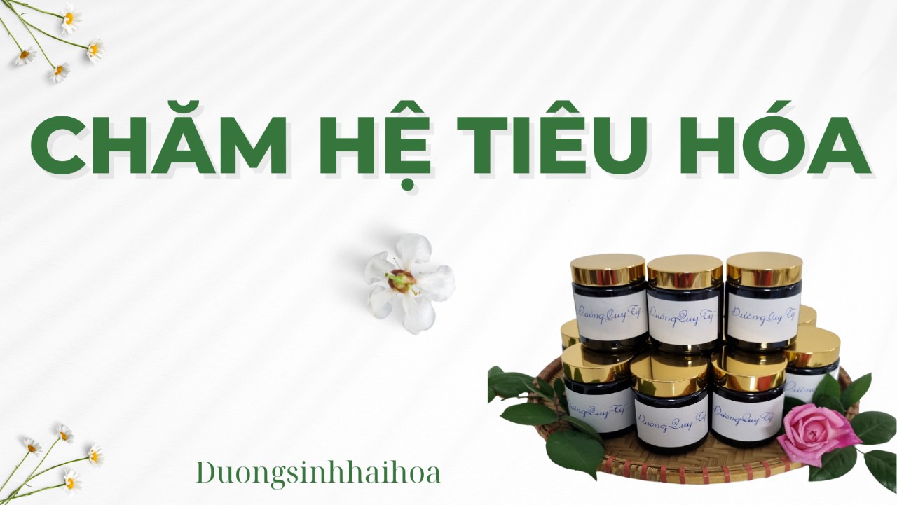 CHĂM HỆ TIÊU HOÁ