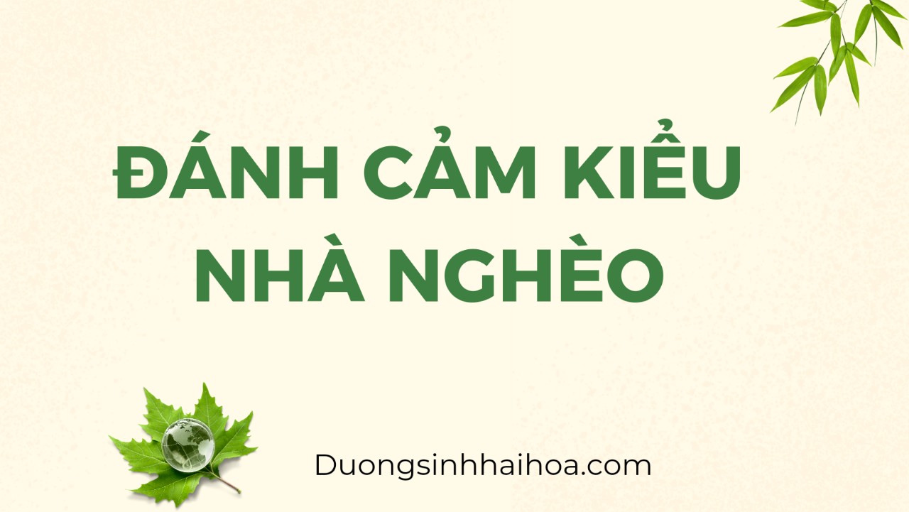 ĐÁNH CẢM KIỂU NHÀ NGHÈO