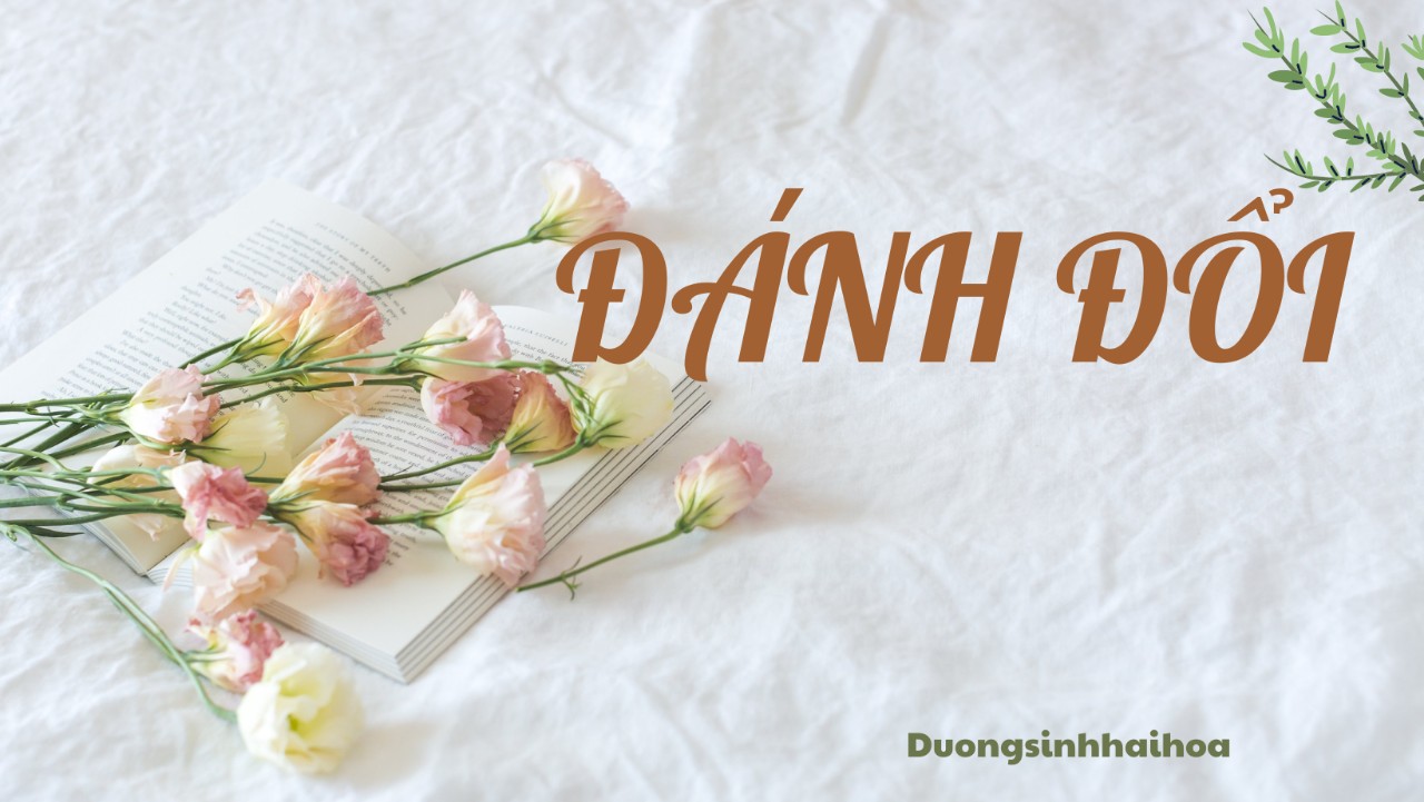ĐÁNH ĐỔI