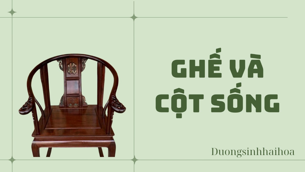 GHẾ VÀ CỘT SỐNG