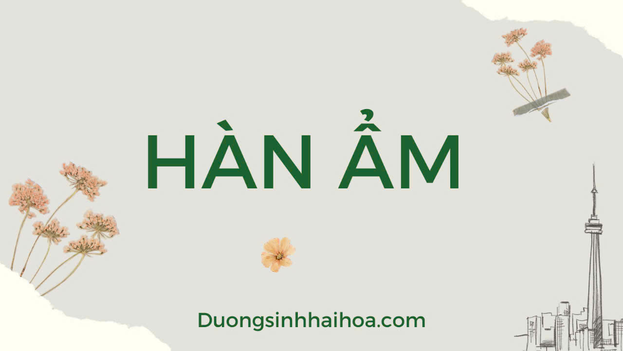 HÀN ẨM