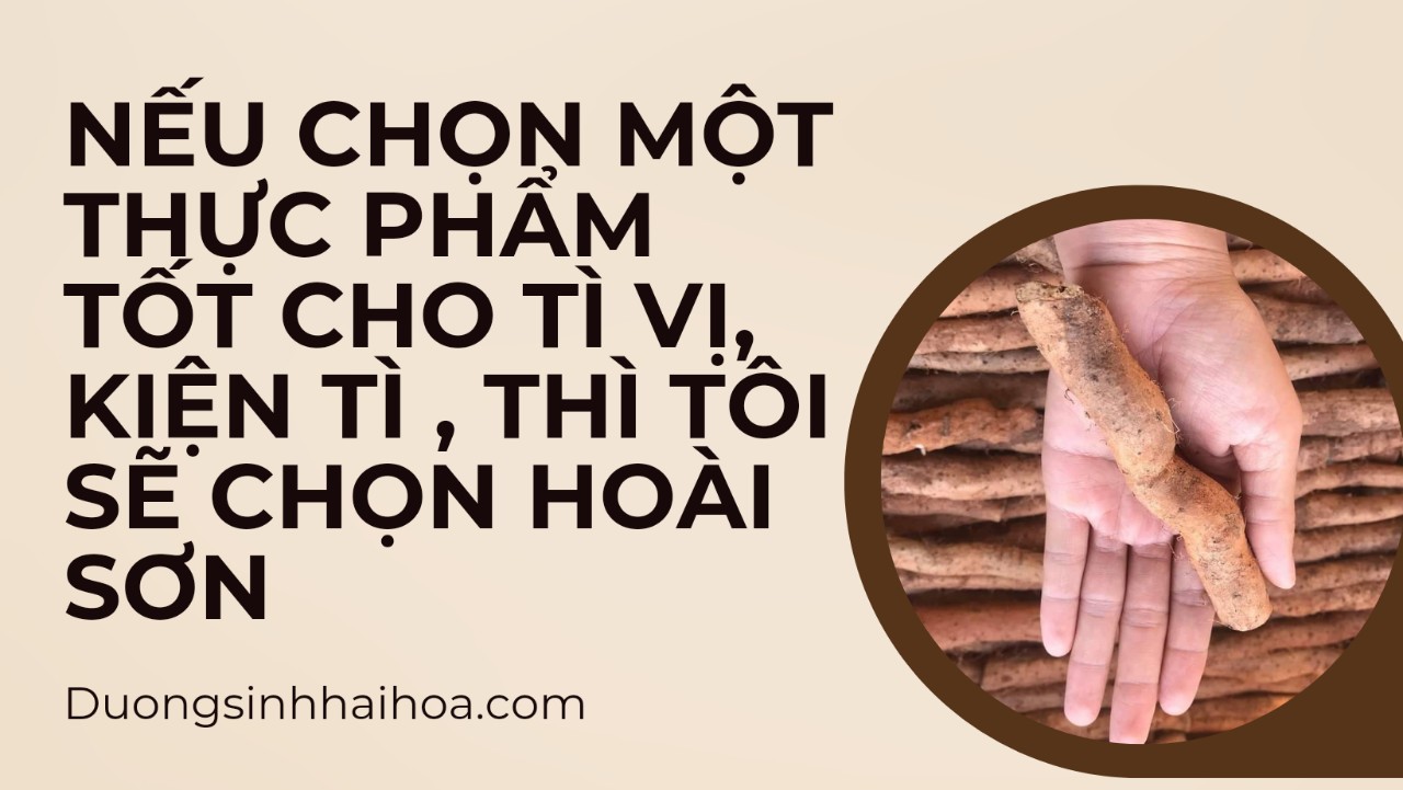 NẾU CHỌN MỘT THỰC PHẨM TỐT CHO TÌ VỊ, KIỆN TÌ, THÌ TÔI SẼ CHỌN HOÀI SƠN