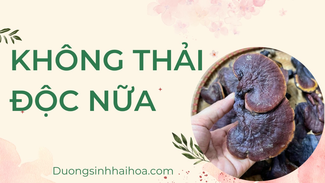 KHÔNG THẢI ĐỘC NỮA