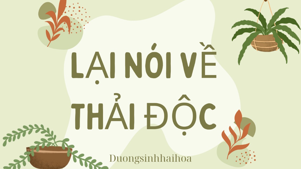 LẠI NÓI VỀ THẢI ĐỘC