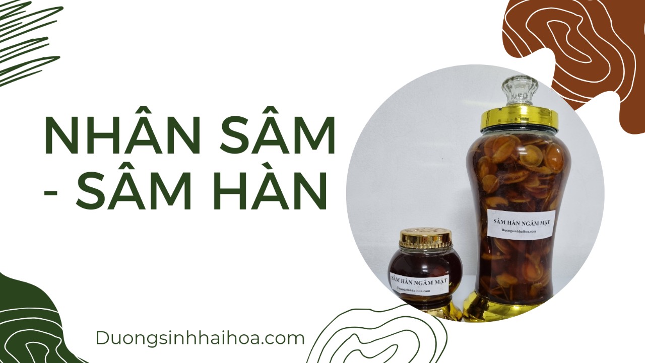 NHÂN SÂM - SÂM HÀN