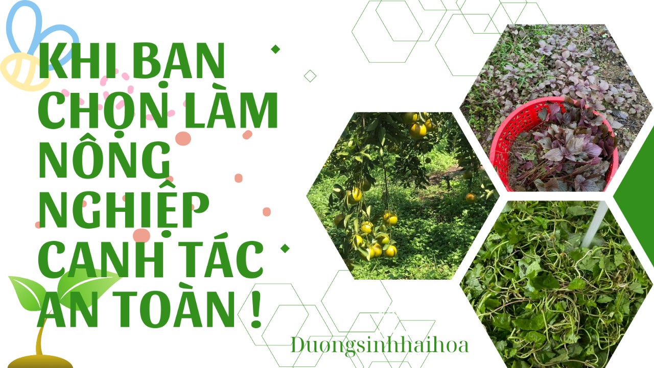 KHI BẠN CHỌN LÀM NÔNG NGHIỆP CANH TÁC AN TOÀN !