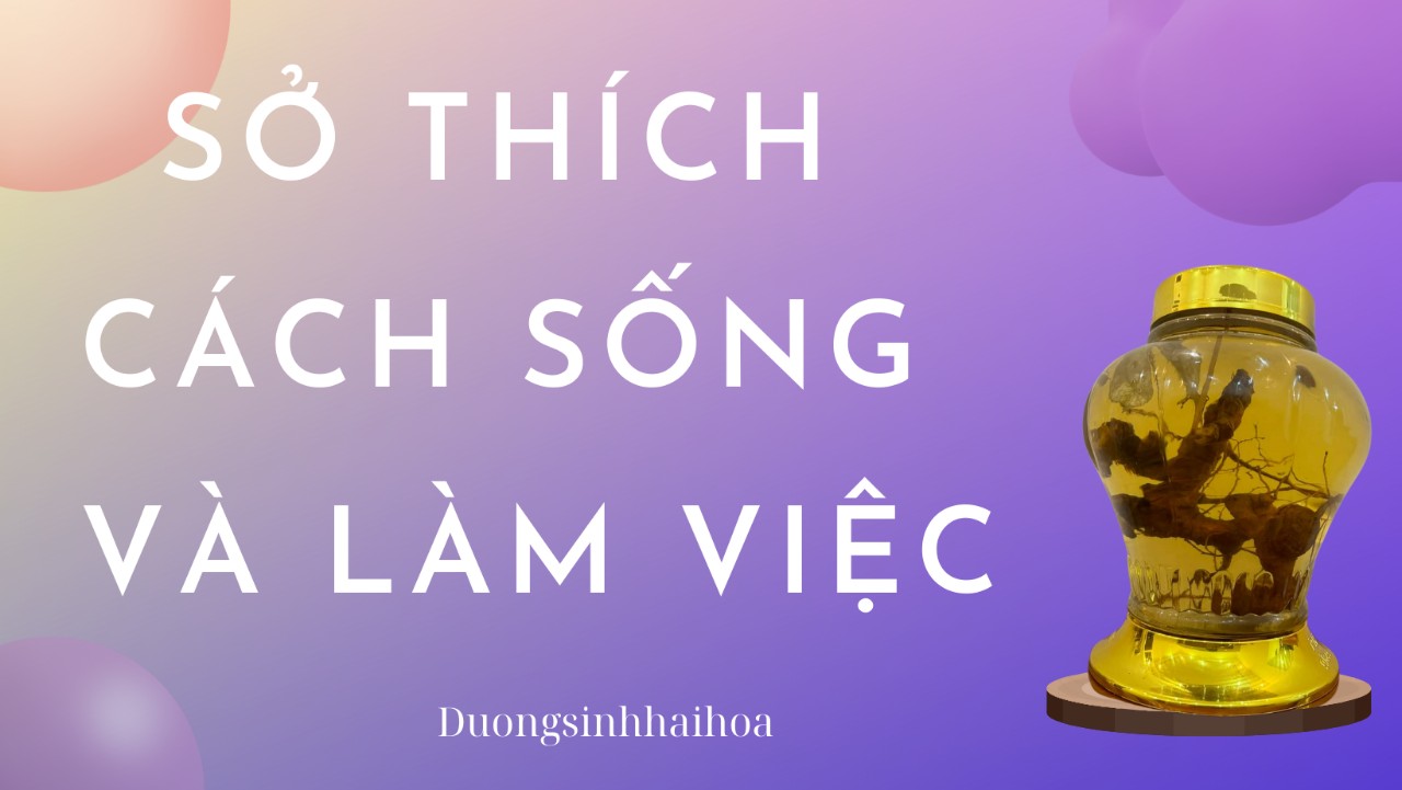 SỞ THÍCH - CÁCH SỐNG VÀ LÀM VIỆC CỦA TÔI !