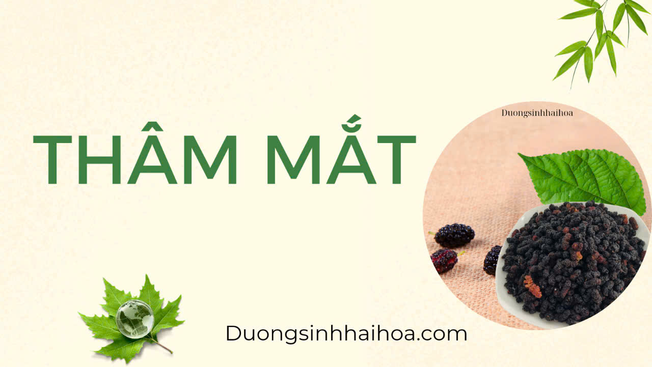 THÂM MẮT