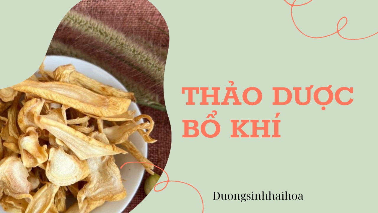 THẢO DƯỢC BỔ KHÍ
