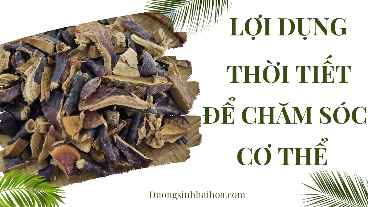 LỢI DỤNG THỜI TIẾT ĐỂ CHĂM SÓC CƠ THỂ