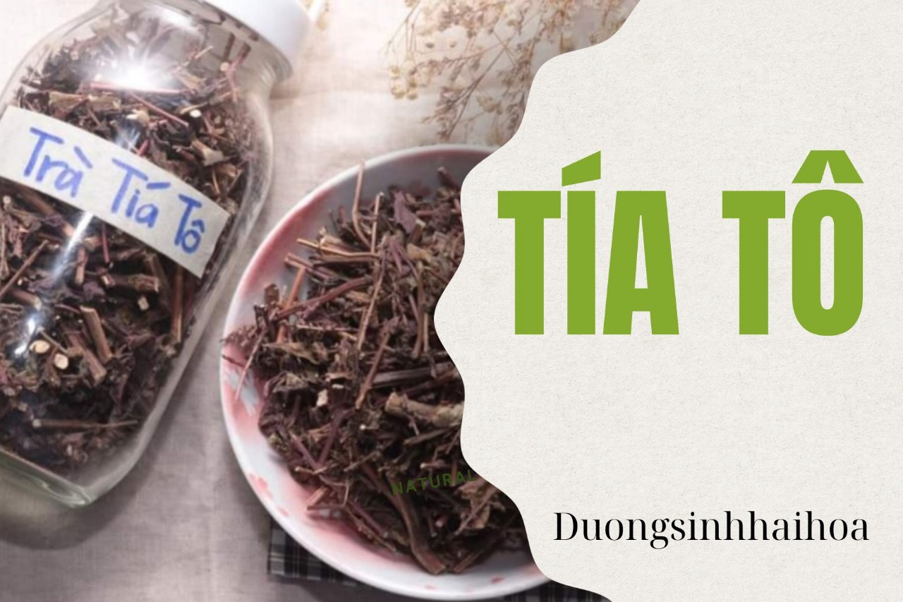 TÍA TÔ