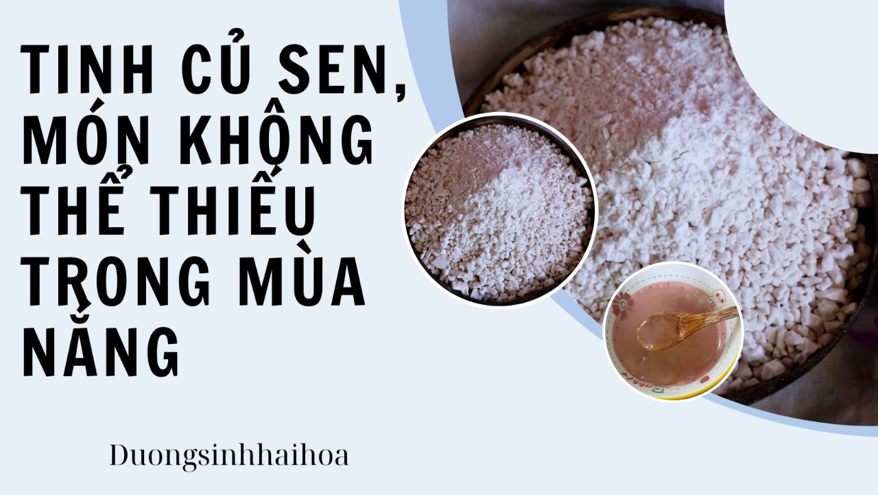 TINH CỦ SEN, MÓN KHÔNG THỂ THIẾU TRONG MÙA NẮNG