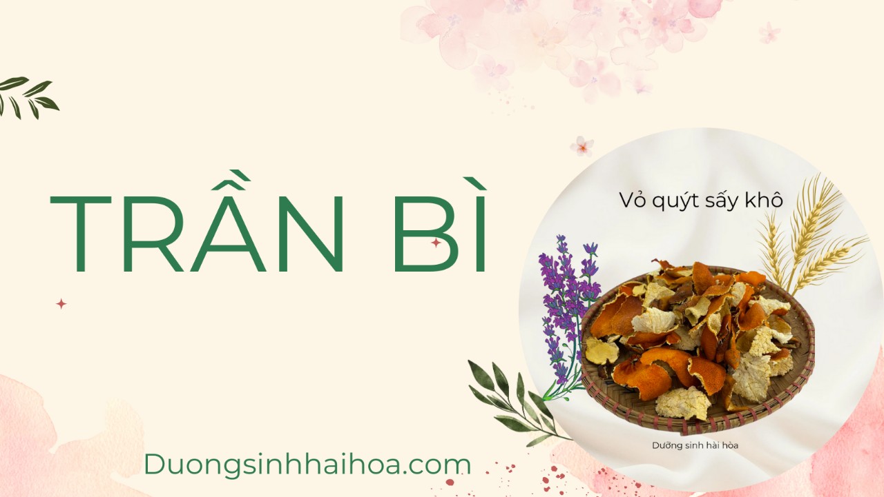 TRẦN BÌ