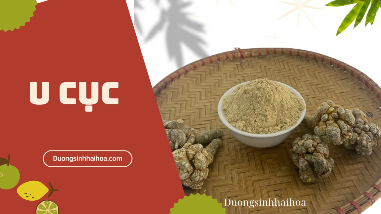 U CỤC
