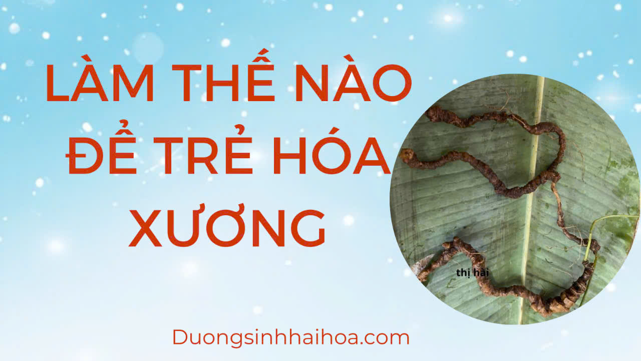 LÀM THẾ NÀO ĐỂ TRẺ HOÁ XƯƠNG
