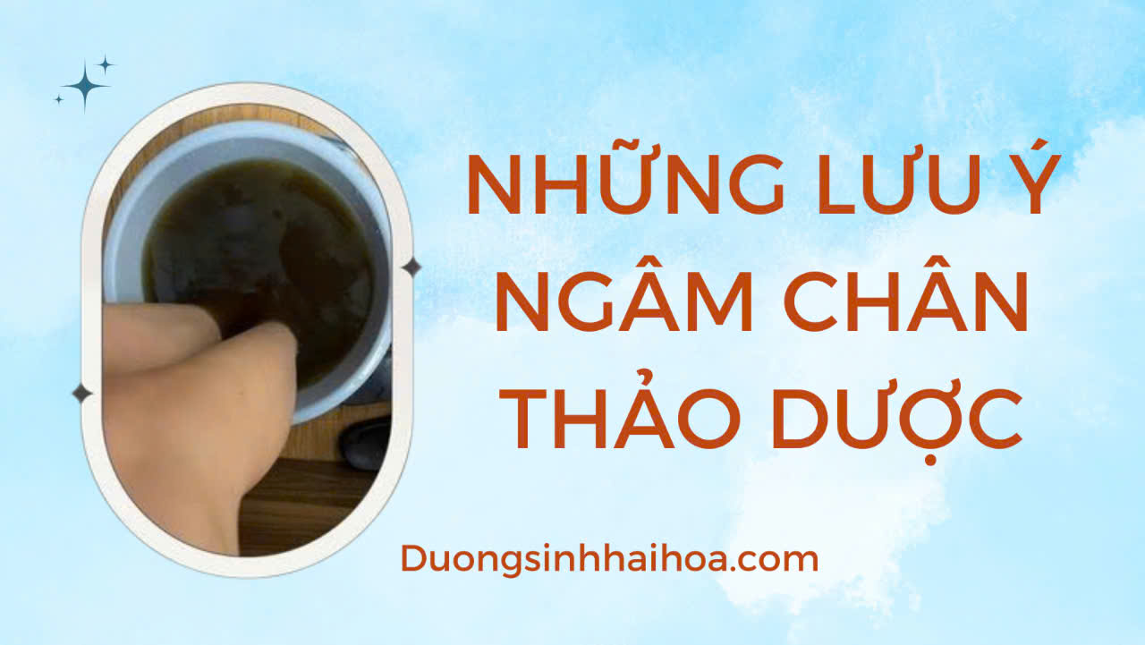 NHỮNG LƯU Ý NGÂM CHÂN THẢO DƯỢC