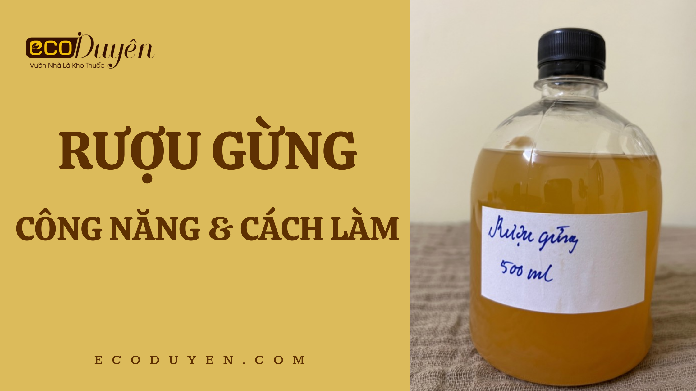 RƯỢU GỪNG - CÔNG NĂNG & CÁCH LÀM