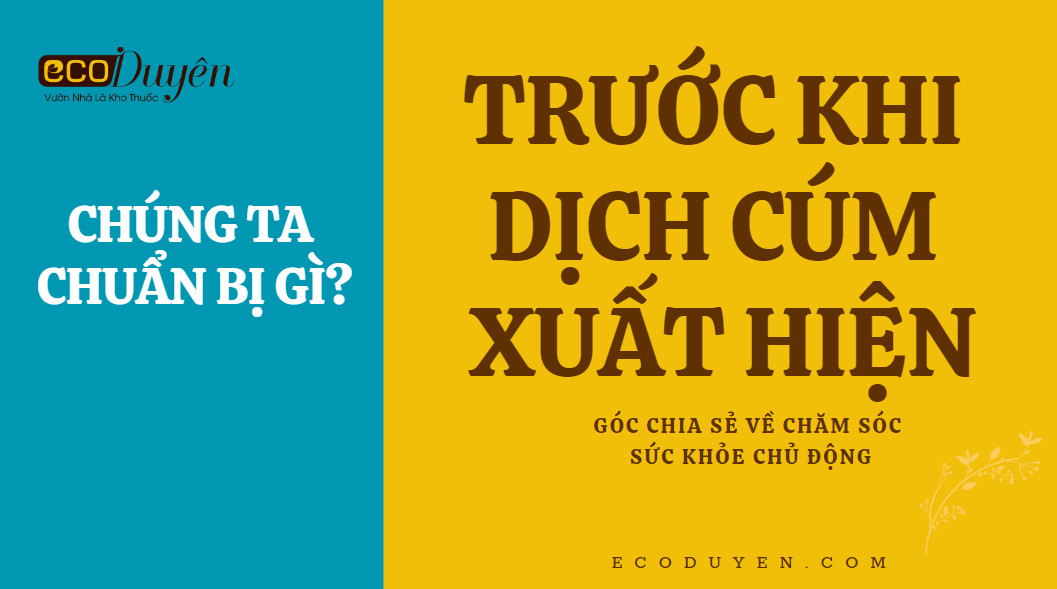 CHUẨN BỊ GÌ TRƯỚC KHI DỊCH CÚM XUẤT HIỆN TRỞ LẠI?
