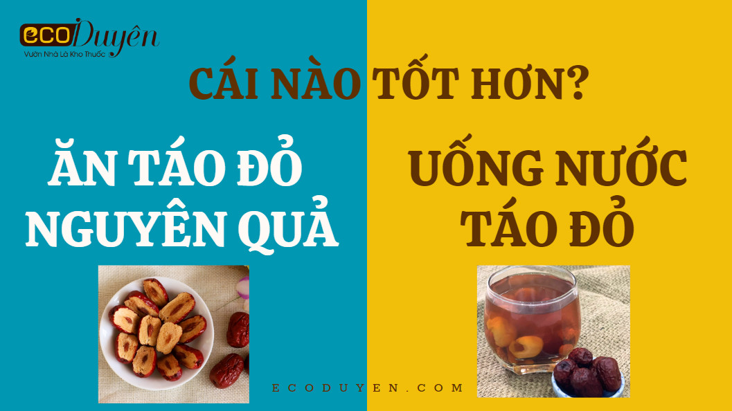 ĂN TÁO ĐỎ NGUYÊN QUẢ HAY UỐNG NƯỚC TÁO ĐỎ TỐT HƠN?