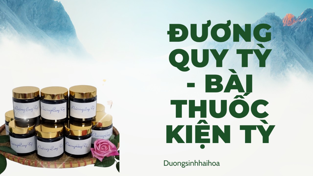 ĐƯƠNG QUY TỲ - BÀI THUỐC KIỆN TỲ?