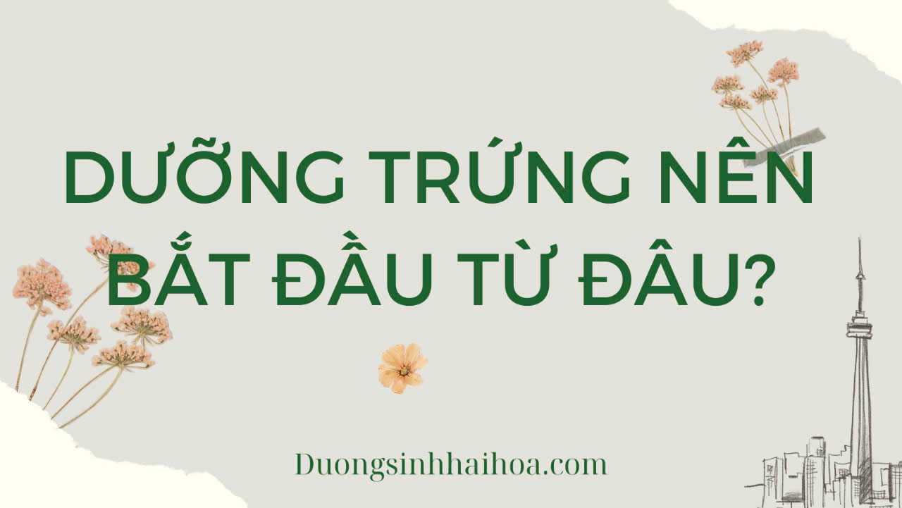 DƯỠNG TRỨNG NÊN BẮT ĐẦU TỪ ĐÂU?