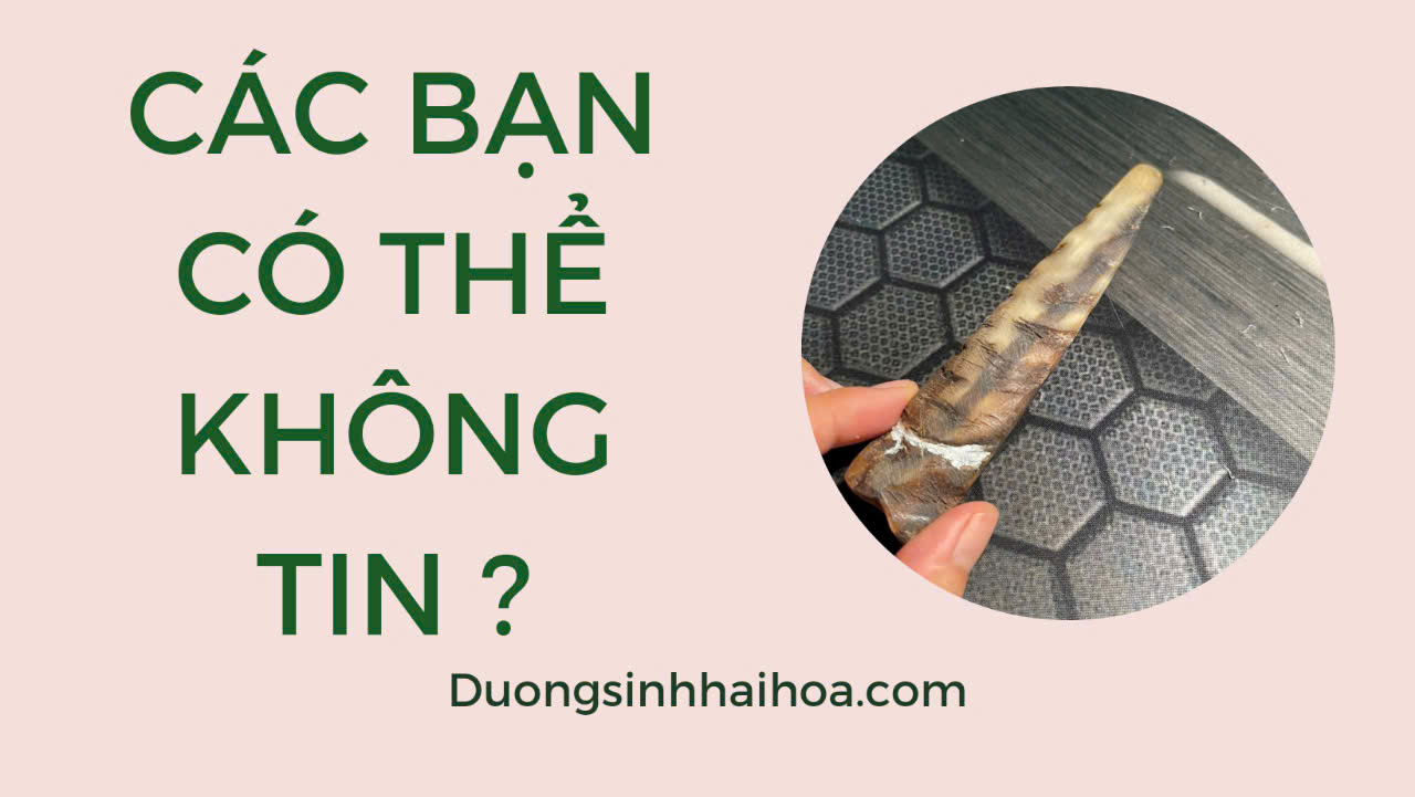 CÓ THỂ BẠN KHÔNG TIN?