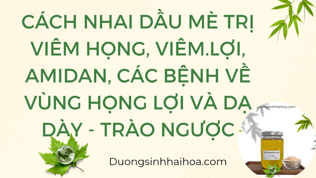 CÁCH NHAI DẦU MÈ TRỊ VIÊM HỌNG, VIÊM LỢI, AMIDAN, CÁC BỆNH VỀ VÙNG HỌNG LỢI VÀ DẠ DÀY – TRÀO NGƯỢC