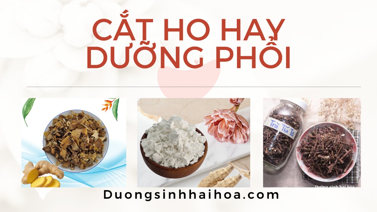 CẮT HO HAY DƯỠNG PHỔI
