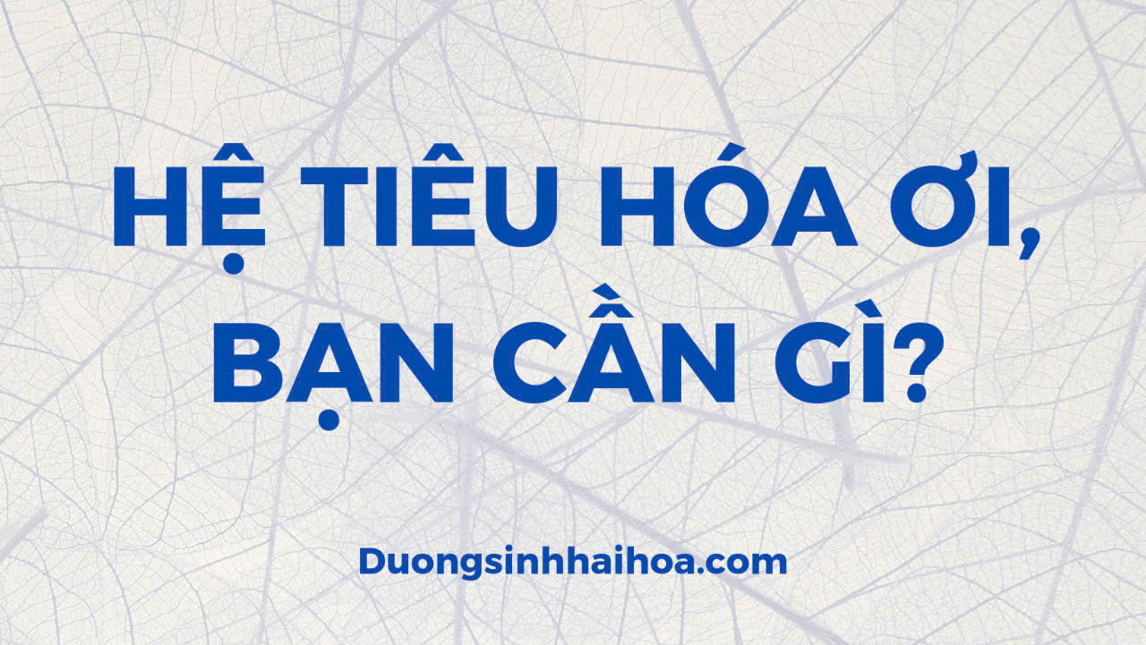 HỆ TIÊU HÓA ƠI, BẠN CẦN GÌ?