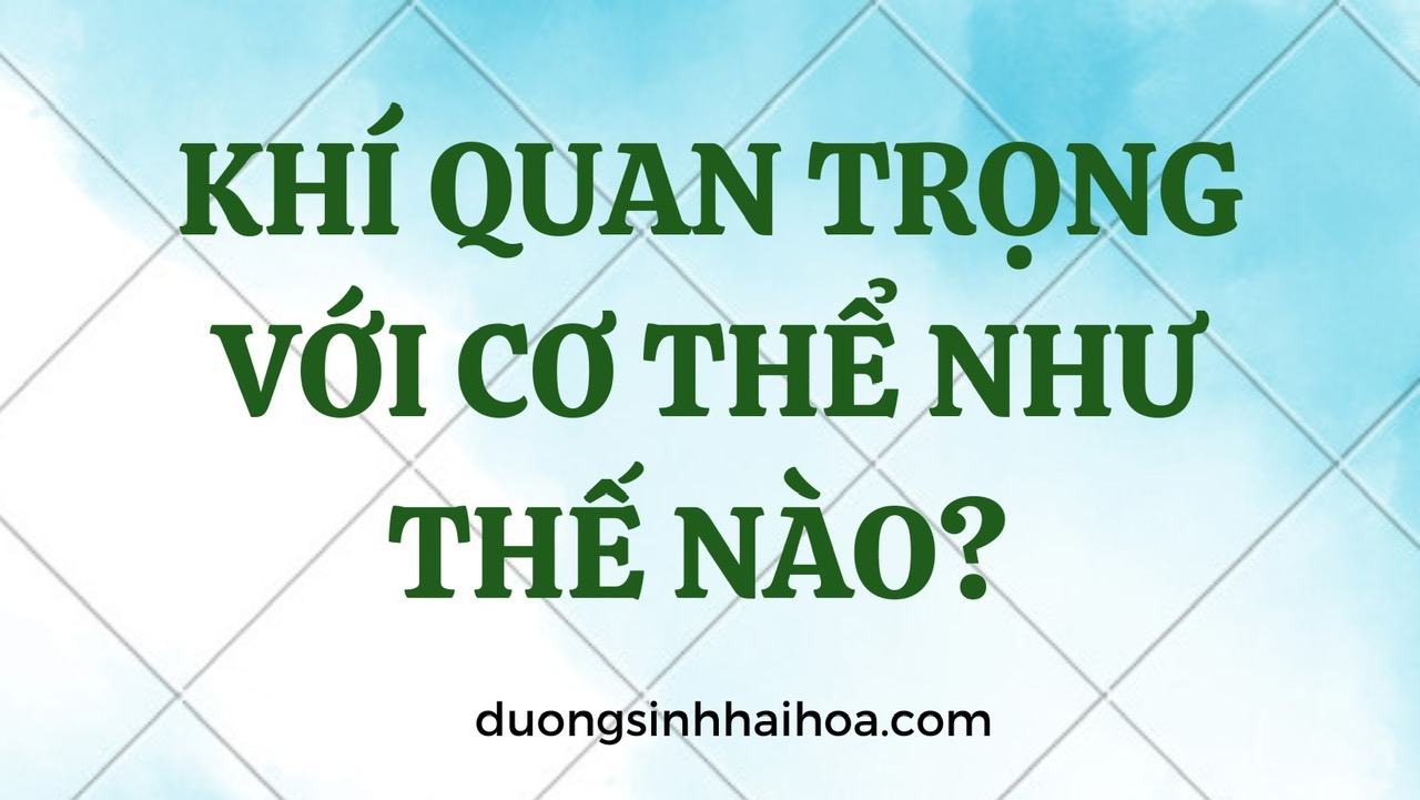 KHÍ QUAN TRỌNG VỚI CƠ THỂ NHƯ THẾ NÀO?