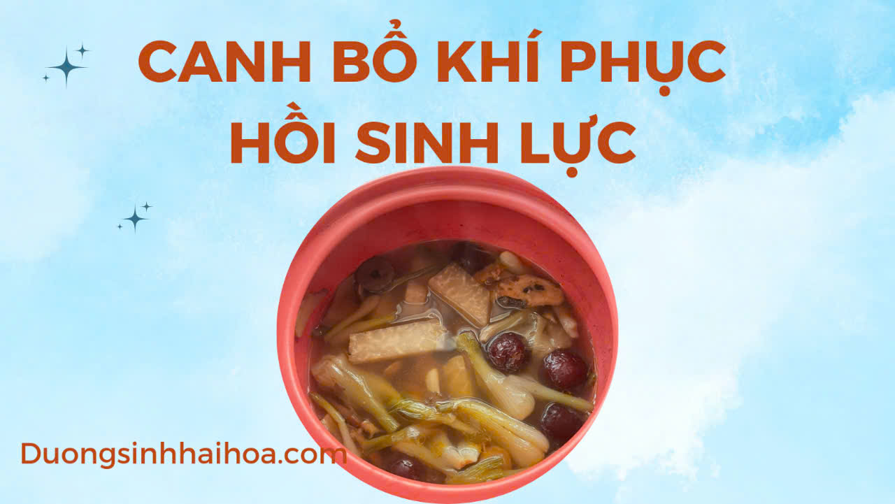CANH BỔ KHÍ PHỤC HỒI SINH LỰC