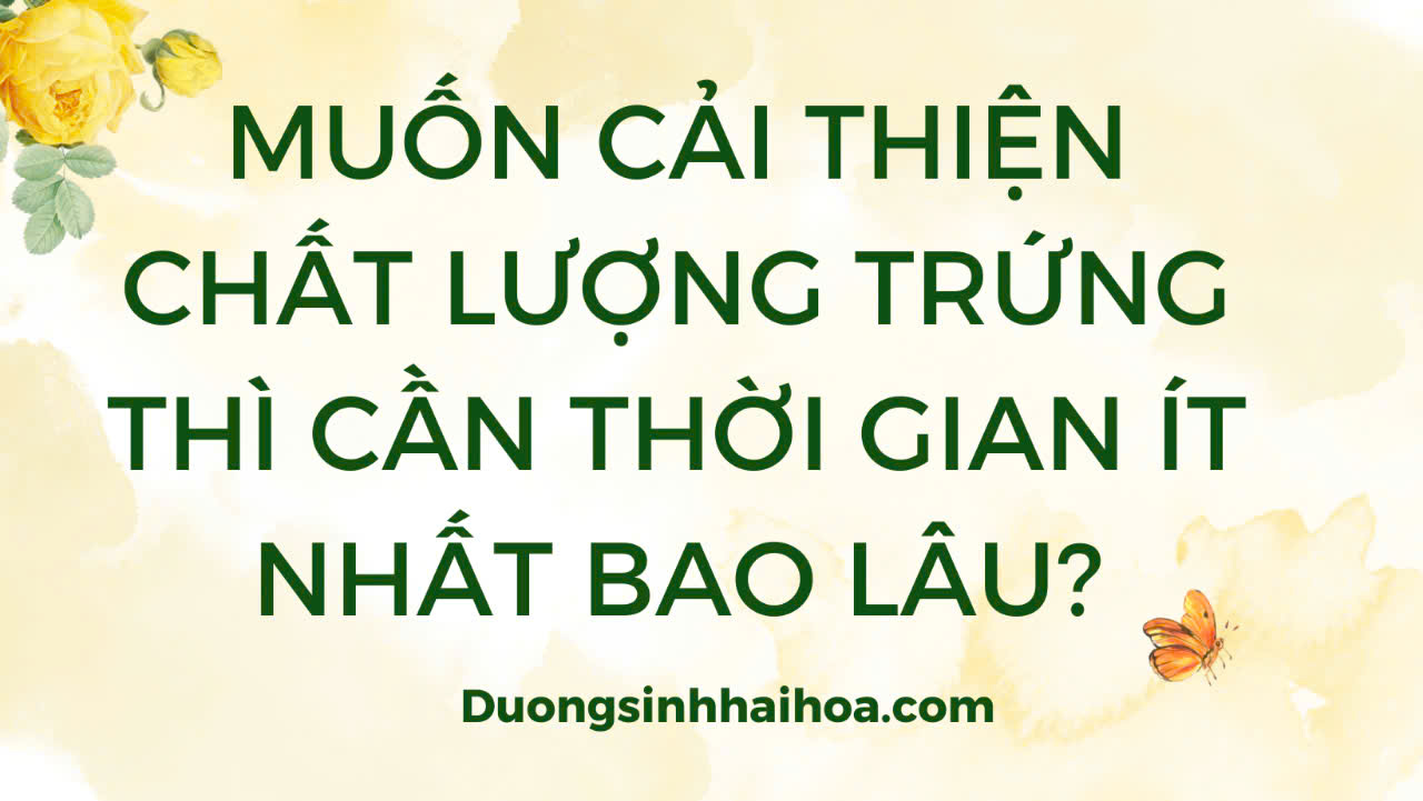 MUỐN CẢI THIỆN CHẤT LƯỢNG TRỨNG THÌ CẦN THỜI GIAN ÍT NHẤT BAO LÂU?