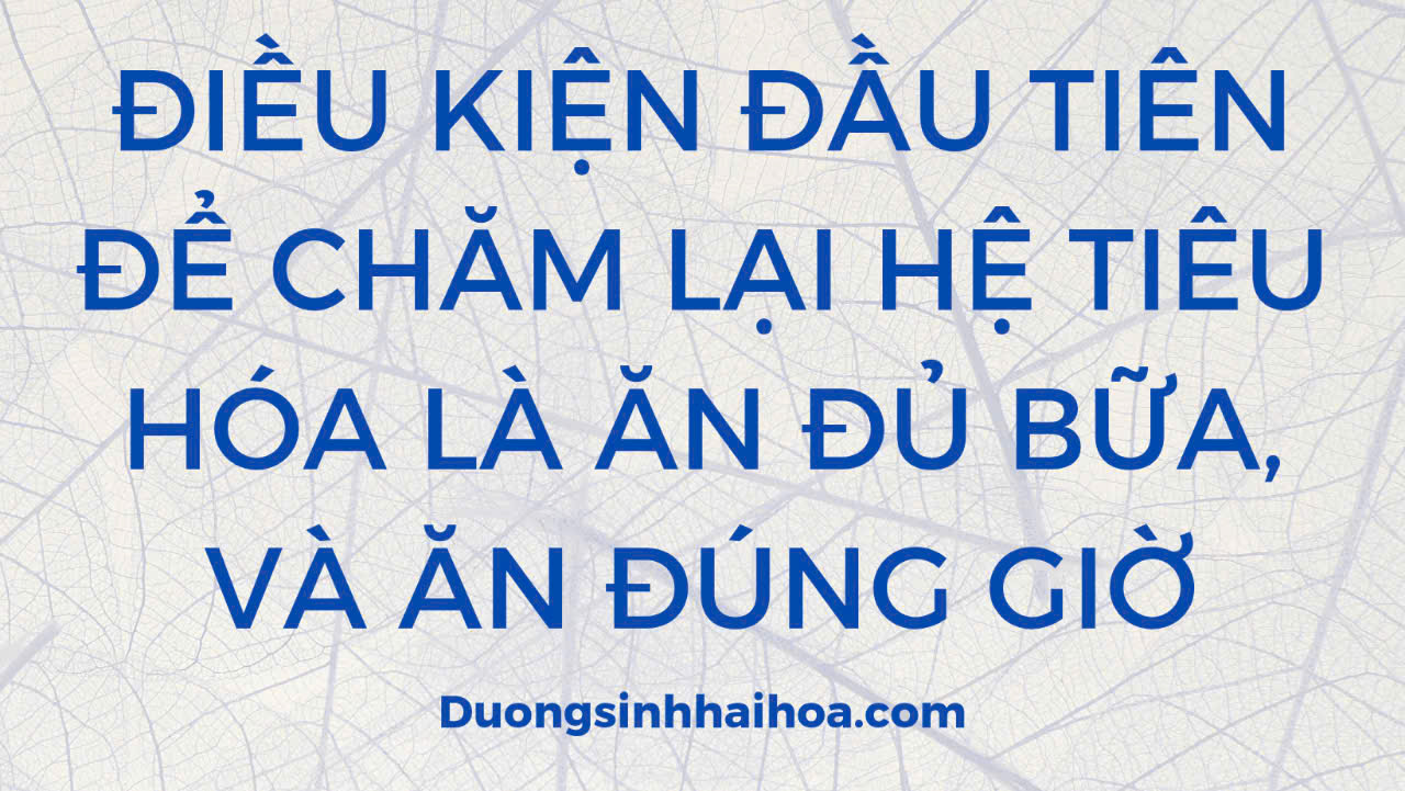 ĐIỀU KIỆN ĐẦU TIÊN ĐỂ CHĂM LẠI HỆ TIÊU HÓA LÀ ĂN ĐỦ BỮA, VÀ ĂN ĐÚNG GIỜ.