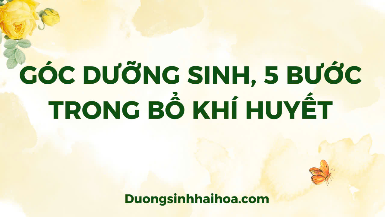 GÓC DỤNG DƯỠNG SINH, 5 BƯỚC TRONG BỔ KHÍ HUYẾT
