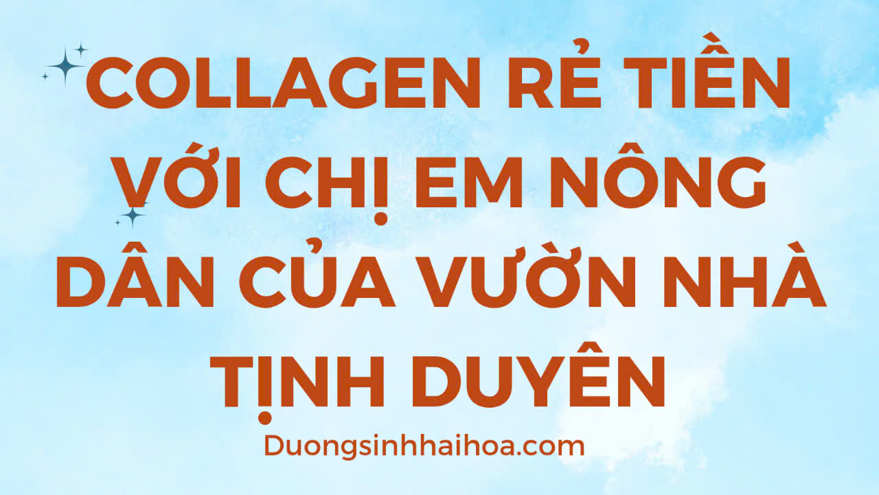 COLLAGEN RẺ TIỀN VỚI CHỊ EM NÔNG DÂN CỦA VƯỜN NHÀ TỊNH DUYÊN