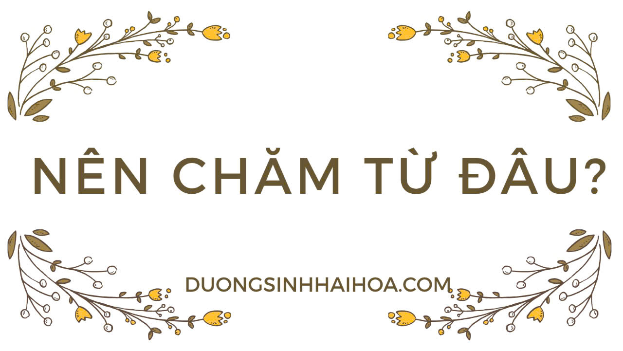 NÊN CHĂM TỪ ĐÂU?