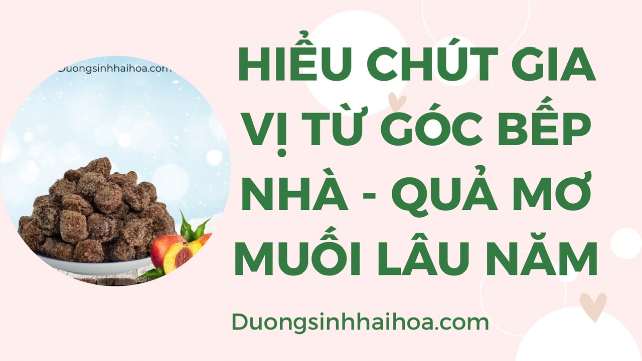 HIỂU CHÚT GIA VỊ TỪ GÓC BẾP NHÀ - QUẢ MƠ MUỐI LÂU NĂM