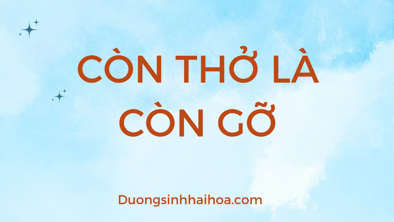 CÒN THỞ LÀ CÒN GỠ