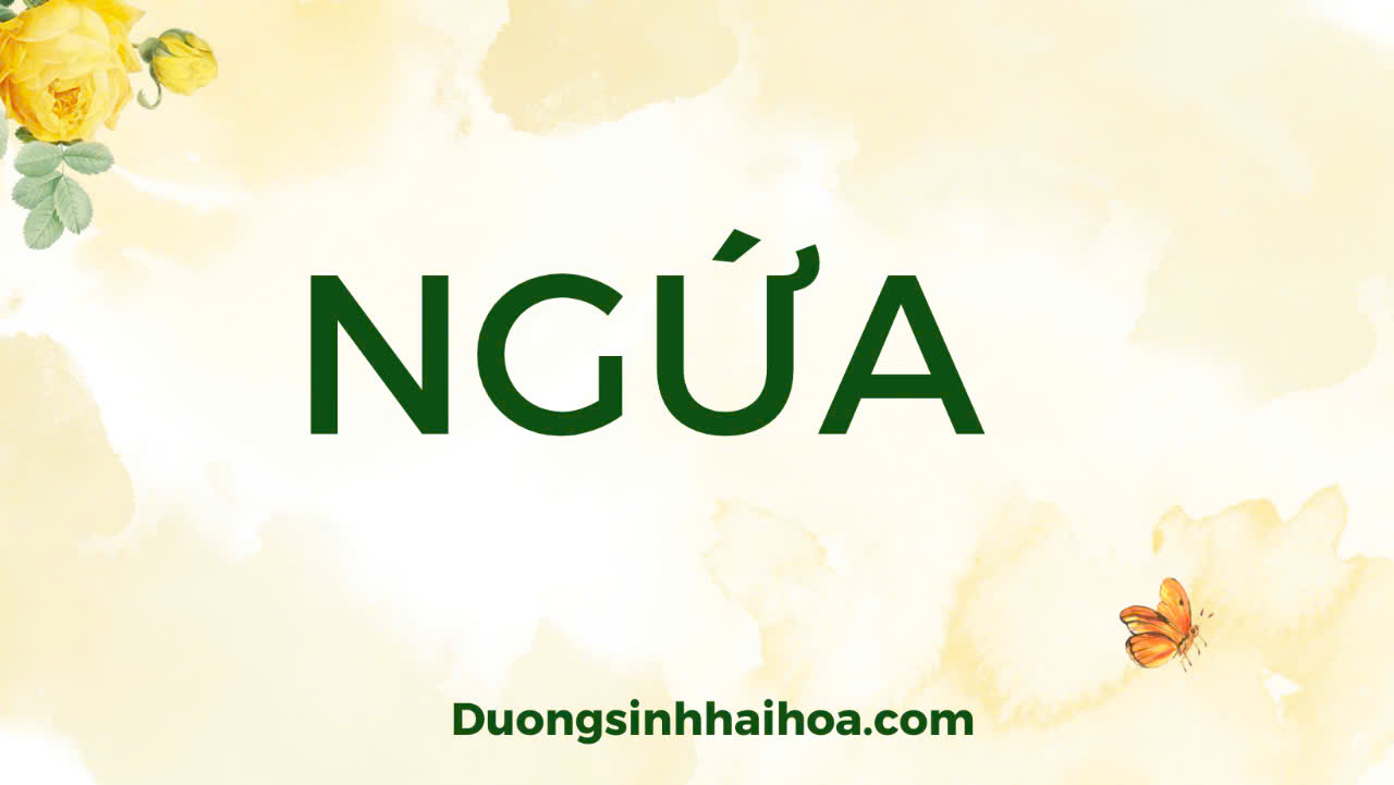 NGỨA