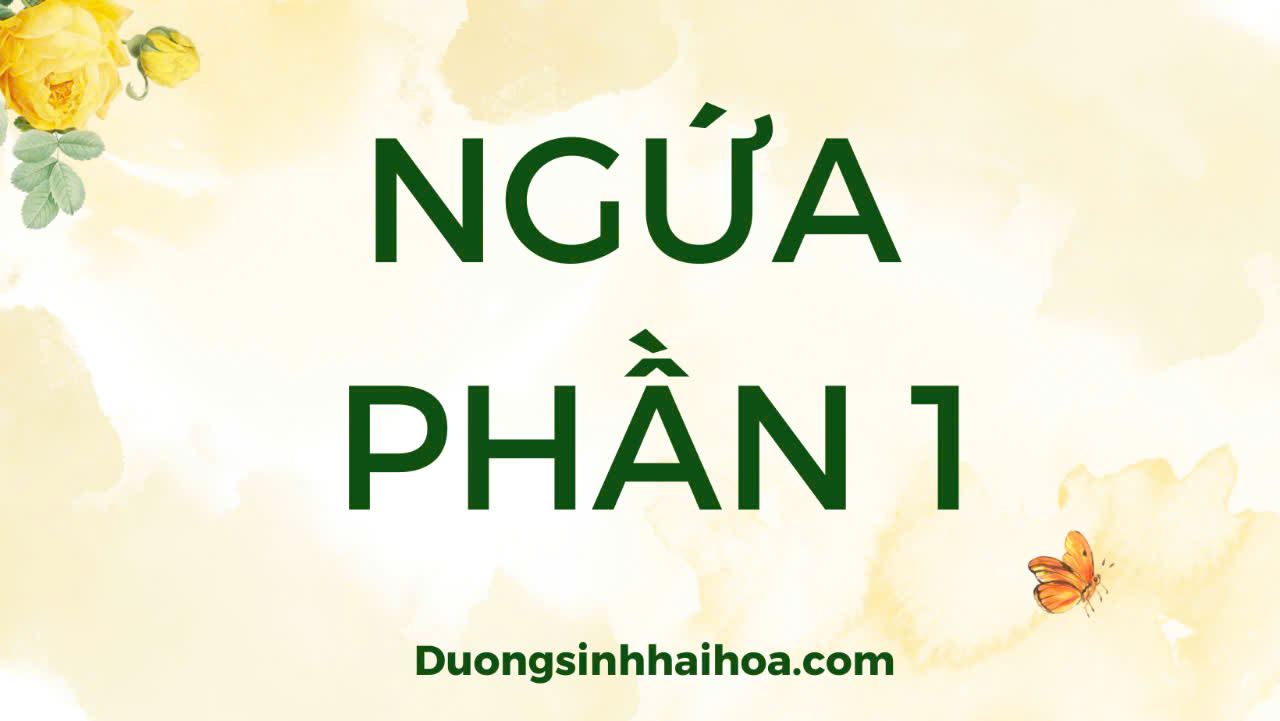 NGỨA - BÀI SỐ 1