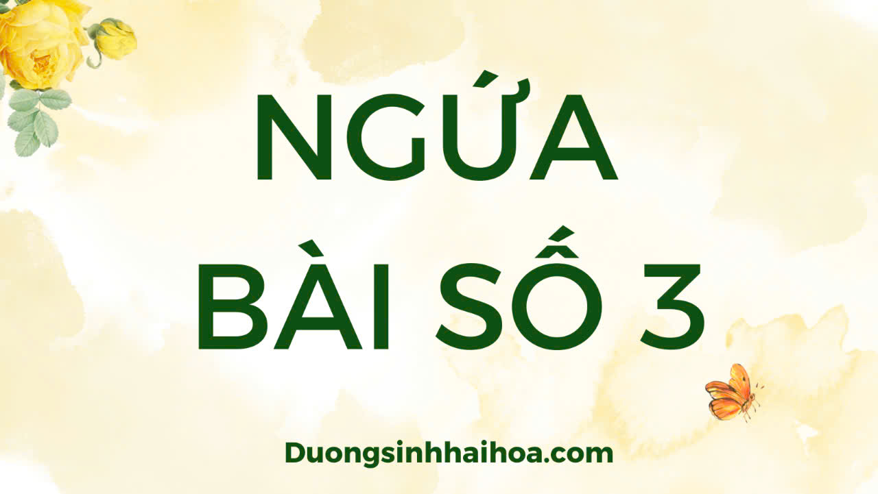 NGỨA - BÀI SỐ 3