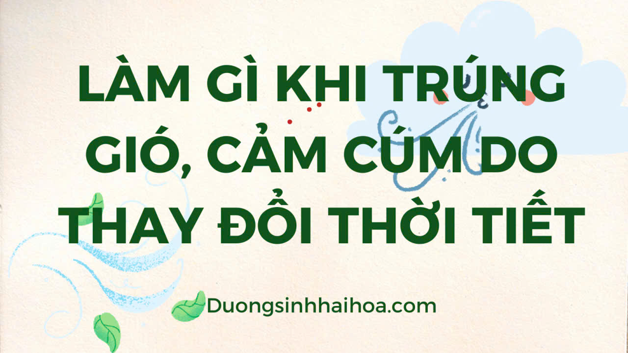 LÀM GÌ KHI TRÚNG GIÓ, CẢM CÚM DO THAY ĐỔI THỜI TIẾT